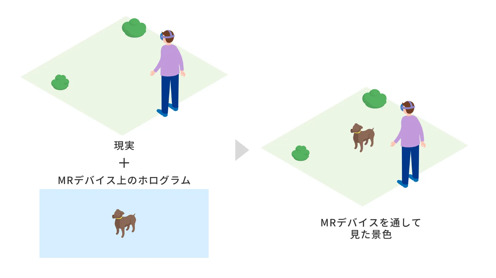 241125_02.webp