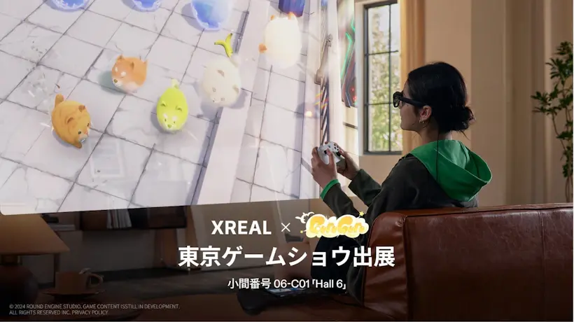 東京ゲームショウ(TOKYO GAME SHOW)