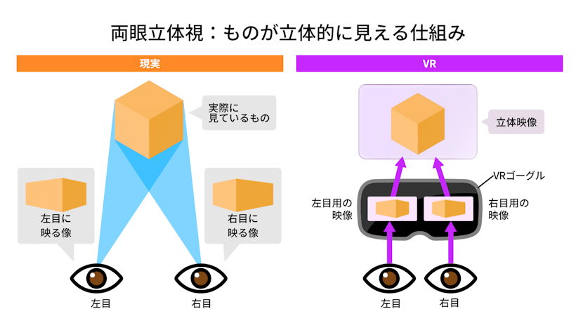 両眼立体視:ものが立体的に見える仕組み